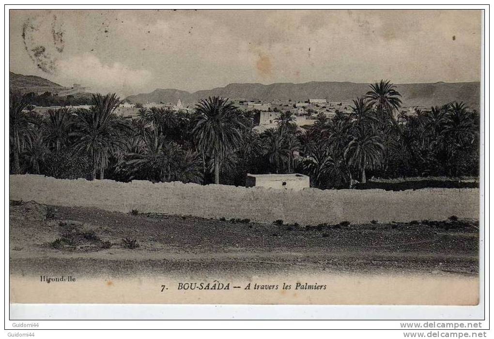 Carte Bou Saada A travers les palmiers