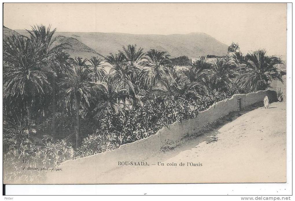 ALGERIE - BOU SAADA - Un coin de l'Oasis