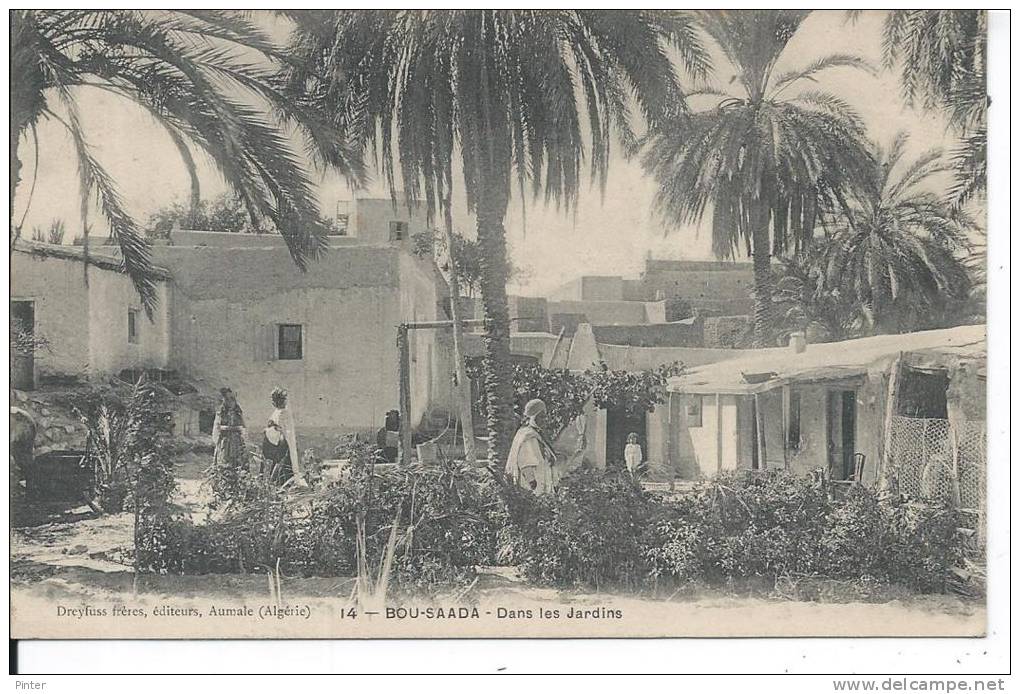 ALGERIE - BOU SAADA - Dans les jaridns