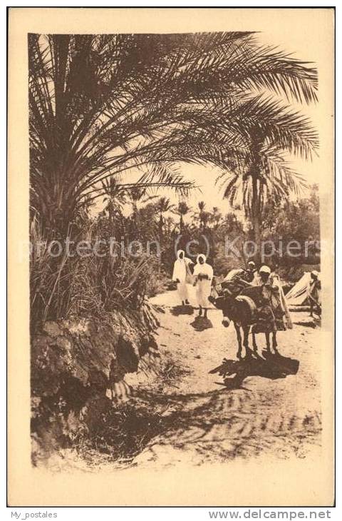 dg21243 Bou Saada Chemin dans l Oasis Kat. Algerien