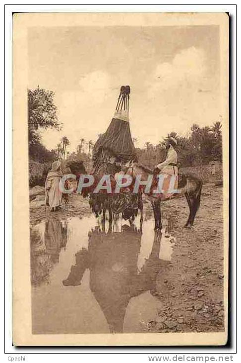 CPA Bou Saada Bassoud a la Riviere Chameau Cheval