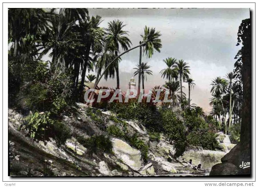 CPA Bou Saada Cite du Bonheur Les Jardins