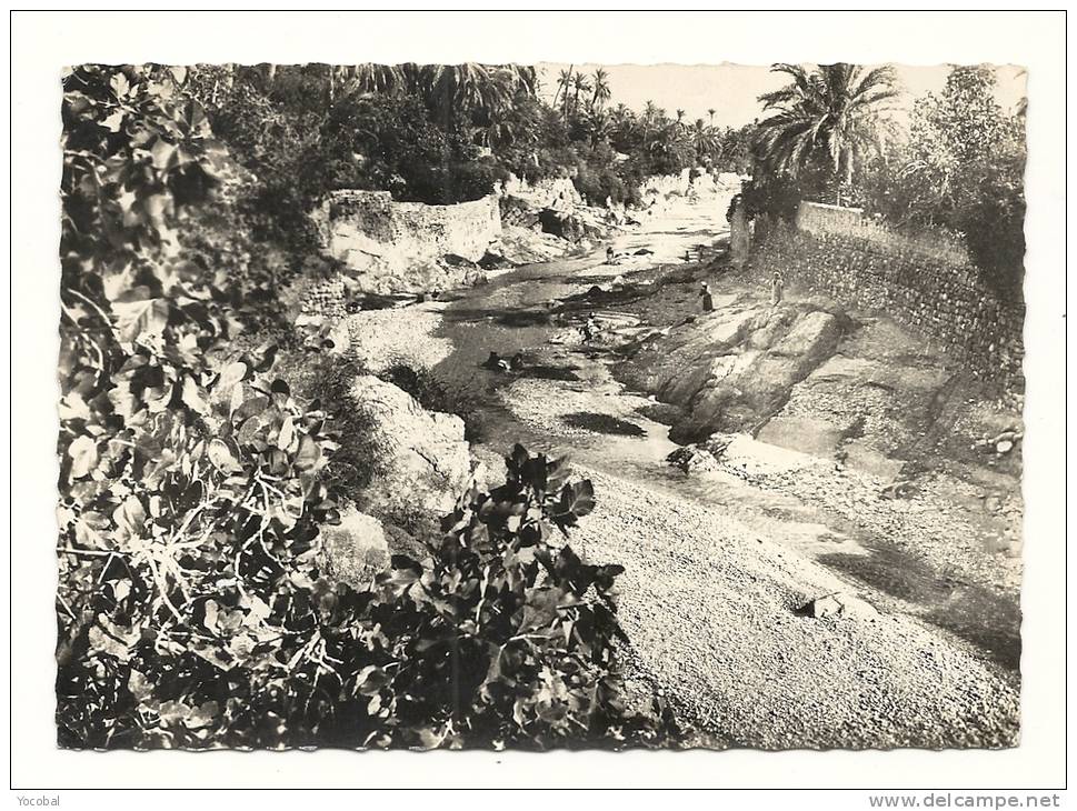 cp, Algérie, Bou-Saada, L'Oued, écrite 1961