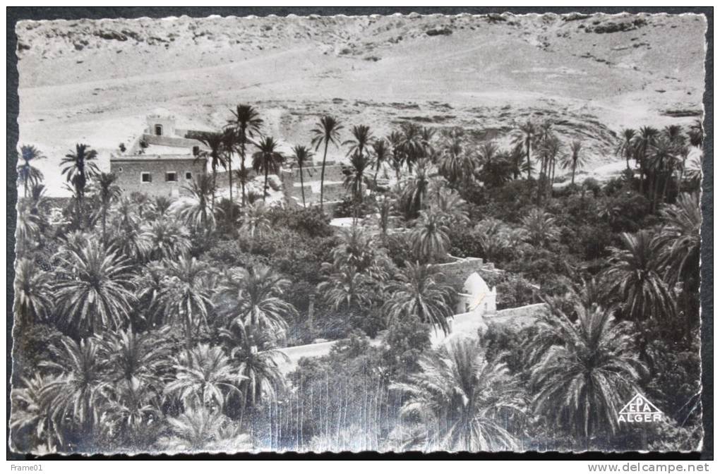 CPSM circulée 1953 Bou Saada, la palmeraie et le tombeau du peintre Dinet