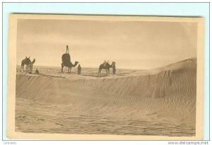BOU-SAADA / Caravane dans les Dunes
