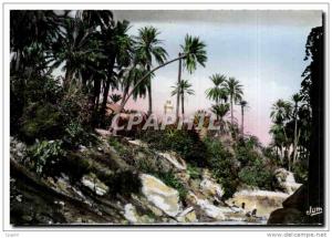 CPA Bou Saada Cite du Bonheur Les jardins