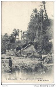 cp Afrique Algérie BOU SAADA Un coin pittoresque de la rivière ( enfant habitation )