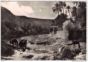 BOU SAADA  Cité du bonheur   L' Oued