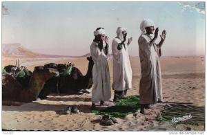 PORT GRATUIT   8300    BOU  SAADA