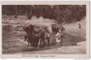 ALGERIE BOU SAADA PASSAGE DE L OUED