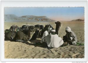 BOU-SAADA -   Cité du Bonheur   - Chameliers au Repos - CPSM, voir scan