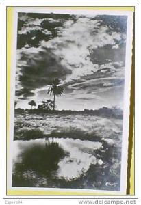 C. Postale  ALGERIE - BOU-SAADA - COUCHER DE SOLEIL