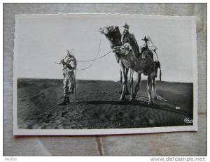 Algerie - Bou-Saada  L'Oasis du Bonheur - Musicien - chameau  camel  Photo Macon   D99874