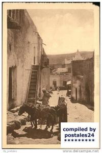 wf77078 Bou Saada Esel