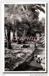 CPA Bou Saada Alger Dans I Oasis