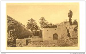 ALGERIA BOU SAADA 47840 POSTCARD L'ANCIEN MOULIN BISQUER MILL STRUCTURE TREE