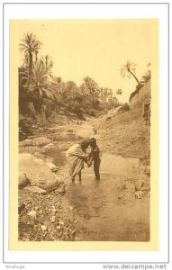 ALGERIA BOU SAADA 47836 POSTCARD TOILETTE PLEIN AIR TOILET OUTDOOR LADY BOY TREE