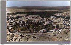 PORT GRATUIT     6760    BOU  SAADA