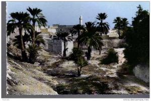 PORT GRATUIT     6760    BOU  SAADA