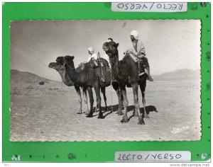 BOU SAADA CHAMELIERS DANS LE DESERT ( scènes et types Afrique du Nord MAROC ALGERIE TUNISIE ?  )