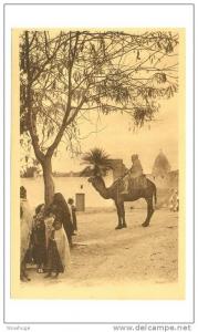 ALGERIA BOU SAADA 47848 POSTCARD ENTRÉE VILLAGE CAMEL PEOPLE TREE ARCHITECTURE