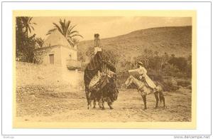 ALGERIA BOU SAADA 47835 POSTCARD GALANTERIES ARABES DANS L'OUED CAMEL HORSE