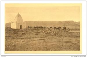 ALGERIA BOU SAADA 47849 POSTCARD CARAVANE QUITTANT CAMEL FLOCK HOTEL CAID