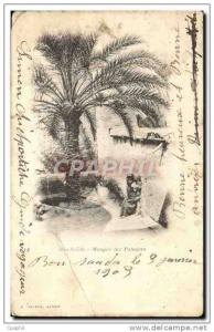 CPA Bou Saada Mosquee des palmiers