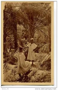 BOU-SAADA  -  DANS LES JARDINS DE L' OASIS