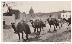 BOU SAADA      ///////   REF  132