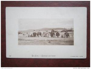 Bou Saada Chameaux aver bassour Algerie Algerien AK CPA