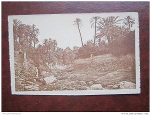 Dans l´ Oued a Bou Saada Algerie Algerien AK CPA