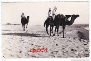 120 - BOU SAADA -   Cité du Bonheur   Chameliers dans le désert