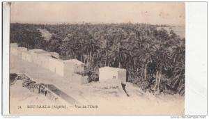 BR44349 Bou saada vue de l oasis    2  scans