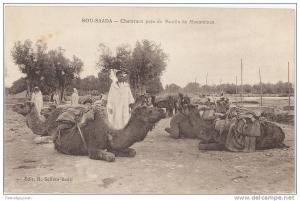 CPA BOU-SAADA - CHAMEAUX PRES DU MOULIN DE MOUAMINES