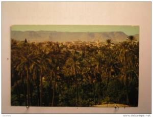 Bou Saada - Vue générale