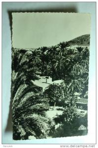 bou saada - les jardins de l'hôtel transatlantique