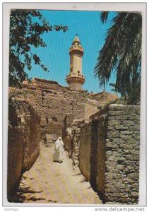 CPM BOU SAADA RUE PITTORESQUE ET MINARET