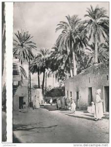 BOU SAADA ALGERIE CITE DU BONHEUR RUE SIDI BELCASEM CPSM BON ETAT