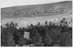 ALGERIE - BOU SAADA - Cité du Bonheur - Vue Générale