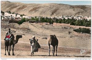 cpsm bon etat  ,   bou-saada , entée de la ville , carte rare , courrier au verso ,   tres propre