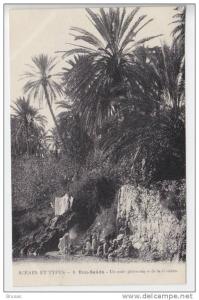 Bou Saada - Un Coin Pittoresque De la Riviere