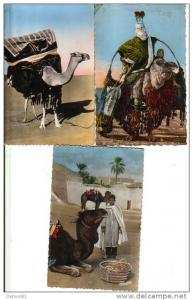 Lot de 5 CARTES -  ALGERIE - SCENES ET TYPES - NOMADES - bou saada bassours -