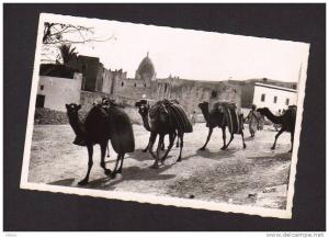 CPSM Algerie Alger Bou-Saada