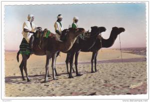 Prix fixe - Bou Saada - Chameliers # 12-10/4