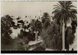 cpsm La Cité du Bonheur   BOU.SAADA (Sud Algérien) Un coin de la Palmeraie et le Minaret