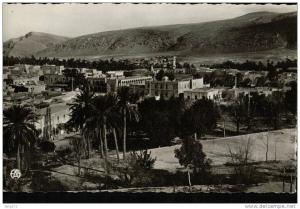 cpsm 1  BOU.SAADA (Cité du Bonheur) Vue Générale
