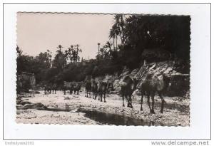 sept12   57116   bou saada   caravane dans l'oued