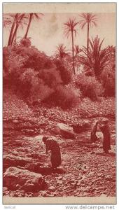 BOU-SAADA  -  La Rivière