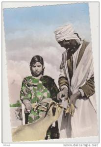 BOU SAADA ...CITE DU BONHEUR ..GAZELLE MANGE TOUT